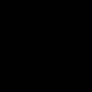 Meet your Posher, Nolan